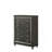 Kaitlyn Metallic Gray Finish Chest-1855679749