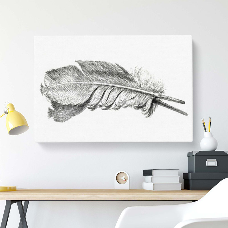 Feather - Wrapped Canvas Print, 40 cm H x 60 cm W