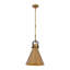 Luminaire suspendu 1 lumière Fenric 13,75 po-124505418