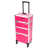 Rouge rose est en rupture de stock