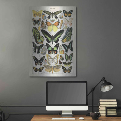 " Papillons 2 " by Susan Ball