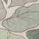 Machine Washable Indoor/Outdoor Bourkelands ACN2348 Botanical Rug