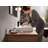 Hansgrohe Vivenis Single-hole Faucet 250 , 1.2 GPM-70672397