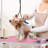 60.2'' H x 32'' W x 19.5'' D Foldable Dog Folding Grooming Table-72065899