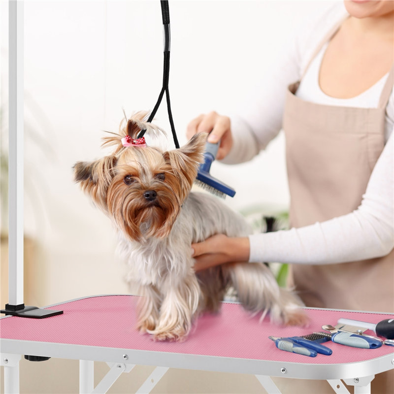 Pink Foldable Dog Grooming Table with Adjustable Arm and Noose