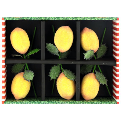 Choix de citron de Noël, boîte de 6 à 10 pouces