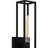 Steel Armed Sconce