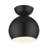 Dianara 1-Light 8" Semi Flush Mount-437096551-437096548