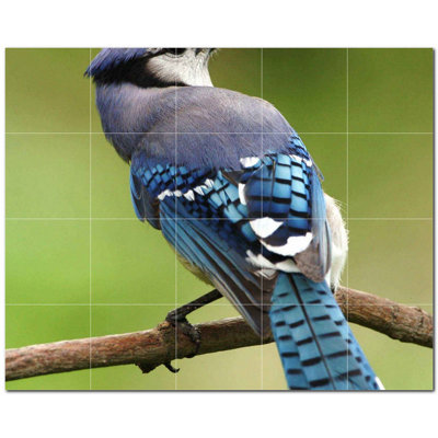 6'' x 6'' Satin Ceramic Decorative Mural