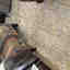 Customer photo 2 of 2
