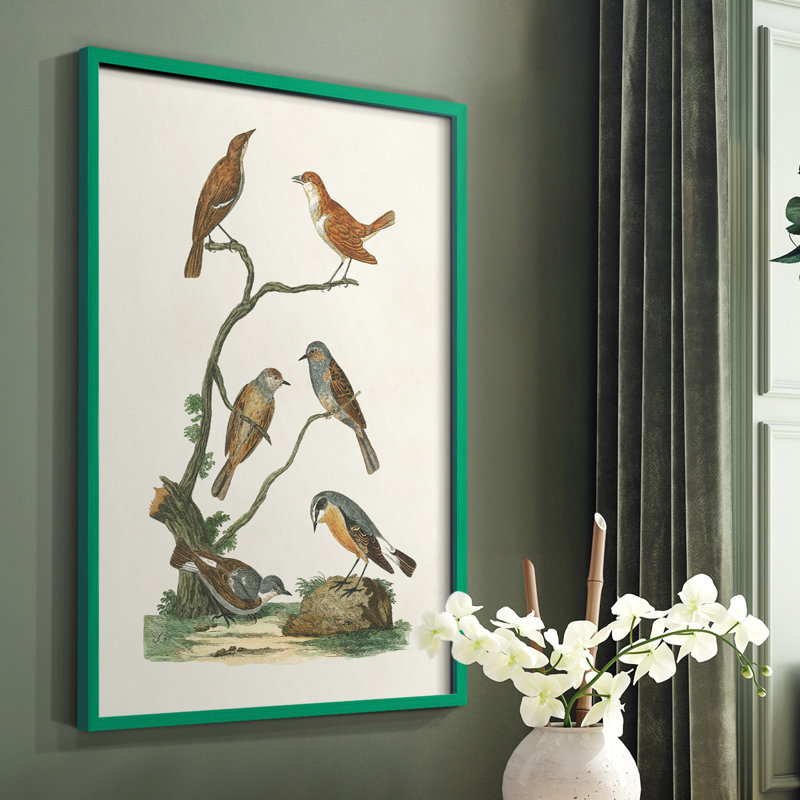 «Antique Birds in Nature IV», reproduction encadrée - bois massif, Vert, H 10 po x l 8 po