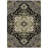 Machine Washable Indoor/Outdoor Chayden ACN1036 Rug-2123992259