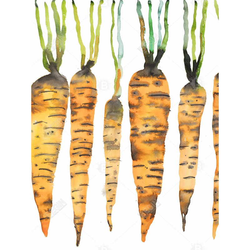 Aquarelle carottes - toile verte gastronomie