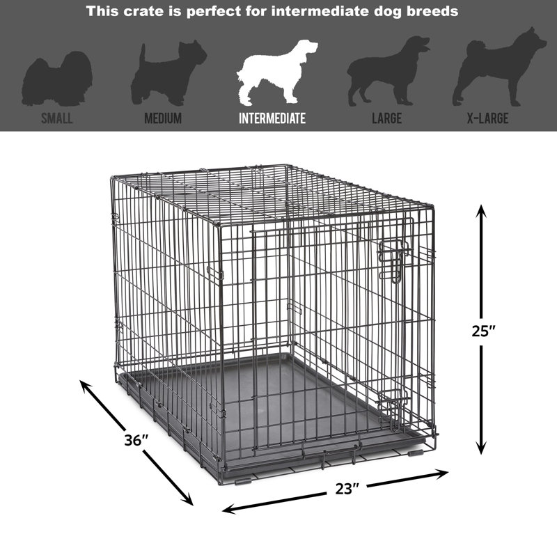 Cage pour chien New World, Moyen (H 25 po x l 23 po x P 36 po)