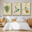 Linnaean Botany I, ensemble de 3 toiles encadrées sur toile-18050548-18050549