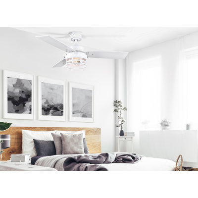 Joeli 42'' Ceiling Fan with Light Kit