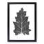 Illustration of a Leaf by Owen Jones - Framed Print-55769009-55769012