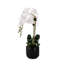 Real Touch Phalaenopsis Orchids in White Dimensional Pot-1195572954