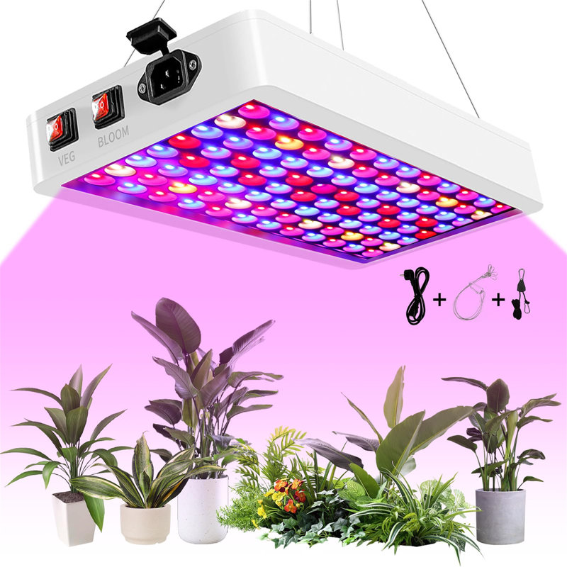 Brayden Studio Grow Light