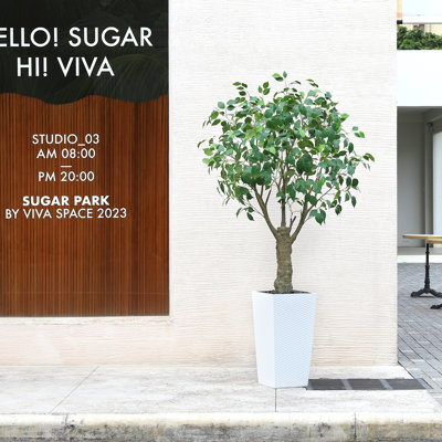 Adcock Artificial Ficus Tree UV Resistant with Tall Planter, Faux Ficus Tree for Outdoor Indoor