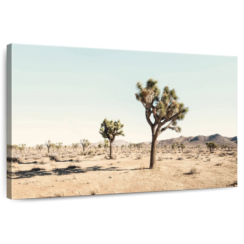 Joshua Tree Desert, 26" H x 39" W