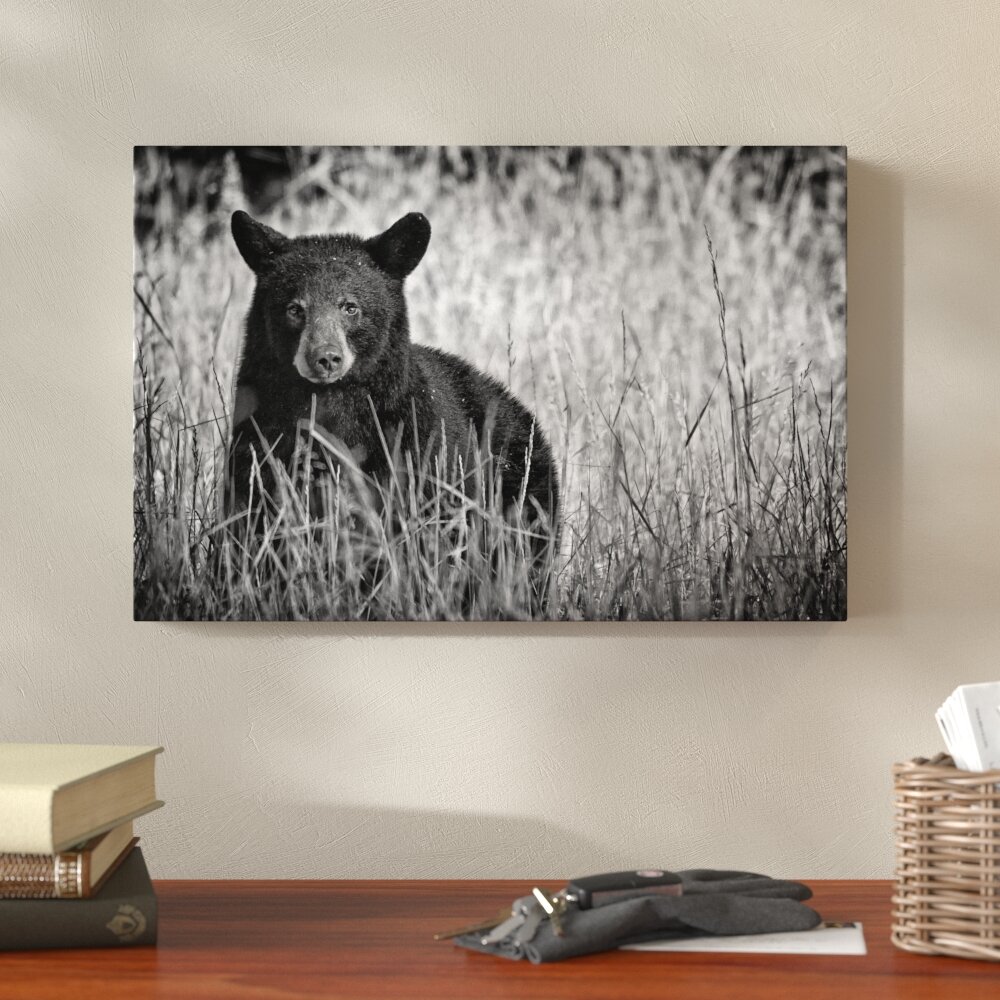 Mama Bear - Black Bear Painting, Hand Signed Bear Cub Art Print by Collin  Bogle – Collin Bogle Nature Art