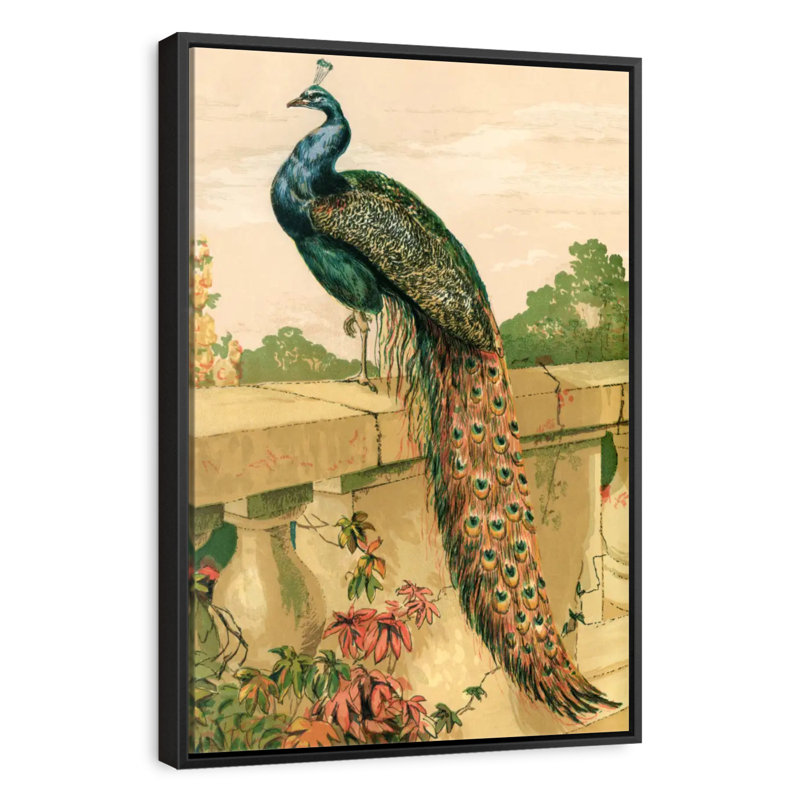 Poulets et volailles, Cadre flottant noir, 29 po x 43 po