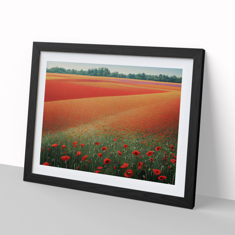 Exquisite Poppy Field Flowers - Single Picture Frame Print, 25cm H x 34cm W x 2cm D, Black Framed