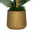 Polysilk Orchid Arrangement in Pot