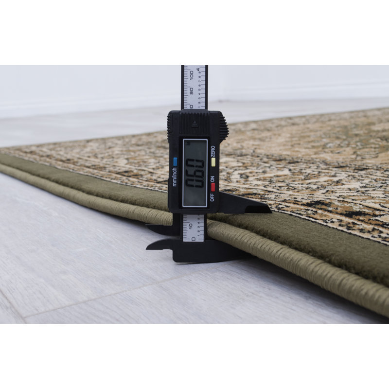 Oriental Area Rug in Green/Brown