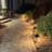 LED Pathway Landscape Light Hardwired 3000K Warm White-109011715