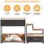 Lits superposés pour perchoirs pour animaux de compagnie - Surface antidérapante pour les chiens et les chats avec lit de repos: rembourrée en éponge. Pad. Option. Design rétro