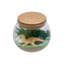 Dinosaur DIY Terrarium Kit for Kids with Adjustable LED Light & Remote Control-126097781