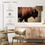 Bison qui remue la langue-107675505