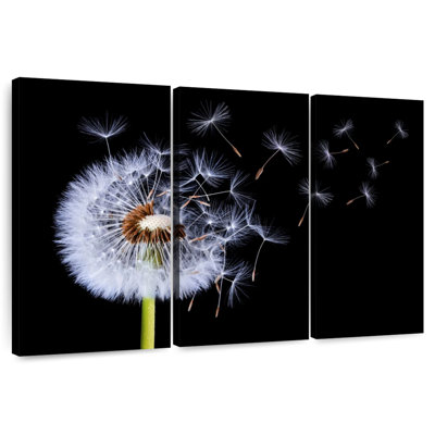 Harnek Dandelion Blowing I
