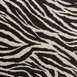 Safari - Baby Zebra, La Zoo Short Pile Velvet Drapery And Upholstery Fabric By The Yard