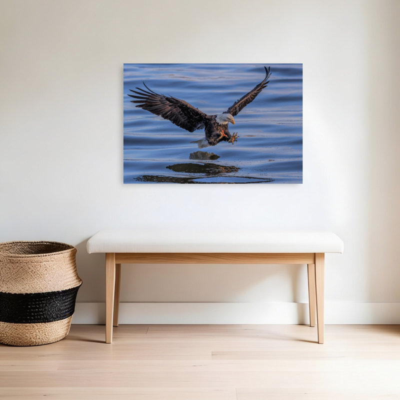 Bald Eagle Water Landing Contemporary Bird Eagle Nature Wildlife Wall Art Print 1 Piece Wrapped Canvas Wall Art