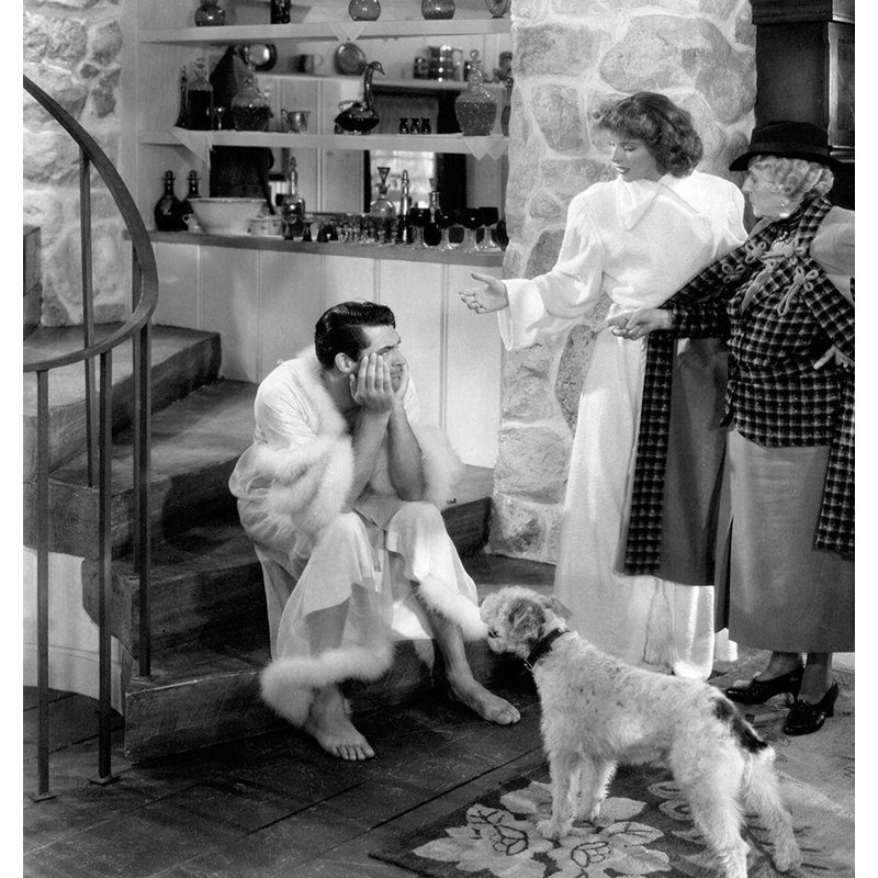 Latitude Run® Hollywood Photo Archive Gallery Wrapped Canvas Art Titled: Cary Grant, Bringing Up Baby, 38" H x 36" W