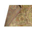 Avalon Wool Oriental Area Rug in Brown