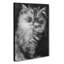 Persian Cat - Wrapped Canvas-61838387