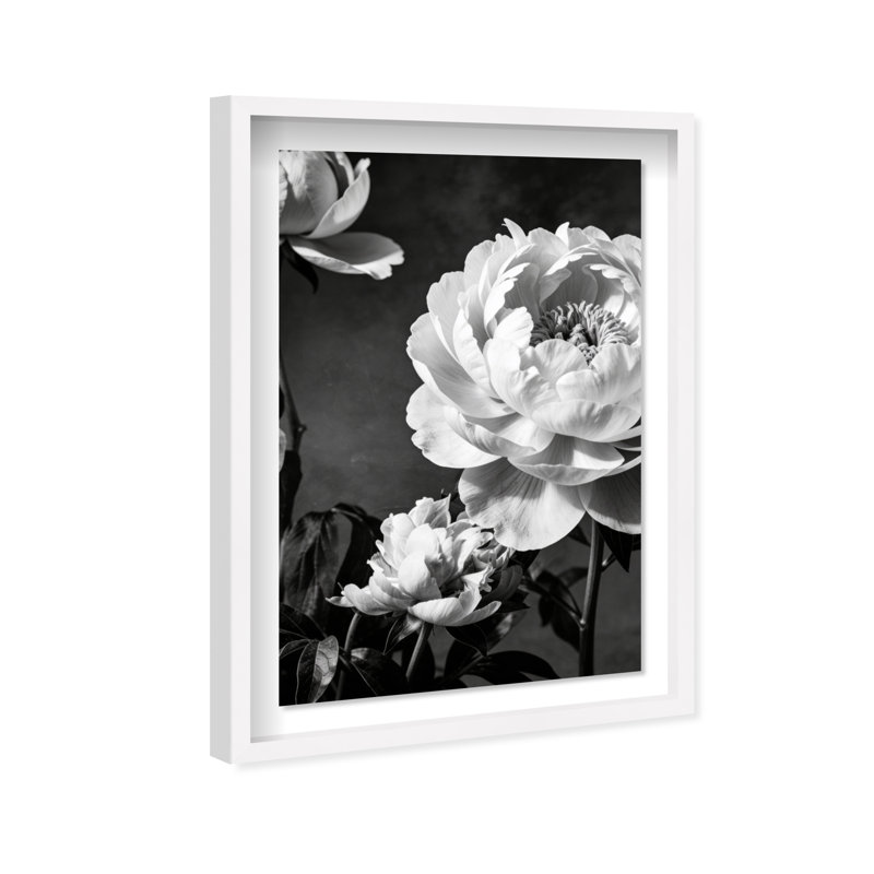 Still Peony Print by Oliver Gal, 16.5" H x 11.5" W, White Shadowbox