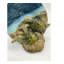 Ramage, deux tortues sur la plage