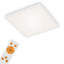 Frameless LED Flush Mount