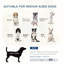 Chien surélevé pour chiens de taille moyenne, gris avec coussin amovible et lit pour animaux de compagnie