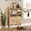 Anelise 2 Door Rattan Shoe Storage Cabinet-1647363559