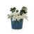 Bleu antique