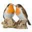 Salt And Pepper - Bird - Robin