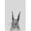 " Grey Rabbit II " Painting Print-28282394