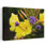 Verbena bonariensis et onagre, Irlande, fleur contemporaine, art naturel