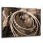 «Cowgirls Lasso» par Lisa Dearing-723770746